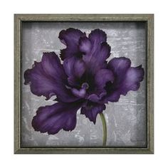 a purple flower in a black frame on a gray background with gold trim around the edges