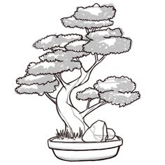 a bonsai tree in a pot with rocks