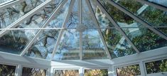 the inside of a glass dome with trees reflected in it's windows and skylights