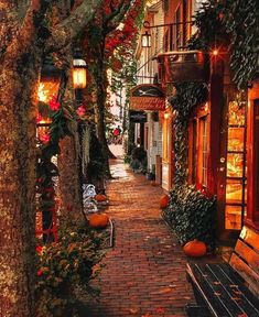 an alley way with pumpkins on the ground and lights hanging from buildings in the background