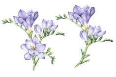 three purple flowers with green leaves on the stems