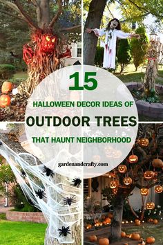 halloween decor ideas for outdoor trees that have been decorated with spider webs and pumpkins