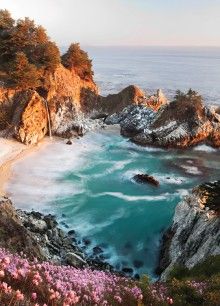 an ocean view with rocks and flowers in the foreground