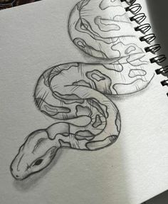 a drawing of two snakes on top of each other