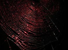 a spider web in the dark with red lights