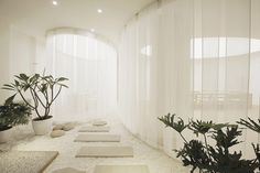 a room with white walls and lots of plants in the center, along with meditation mats on the floor