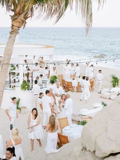 a group of people standing on top of a sandy beach next to the ocean and palm trees