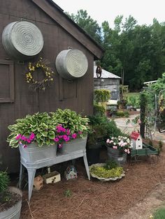 an outdoor garden area with potted plants and flowers