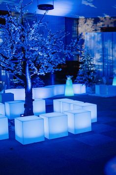 an illuminated tree in the middle of a room with cubes on the floor and lights around it