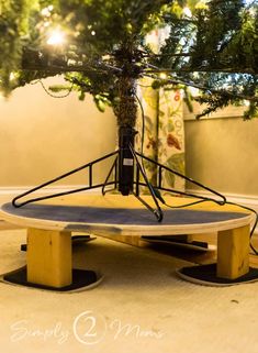 a surfboard sitting on top of a wooden stand under a pine tree with lights