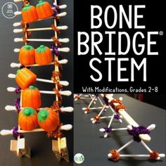 an image of a science project with pumpkins and marshmallows on sticks