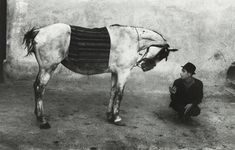 a man kneeling down next to a horse with a blanket on it's back