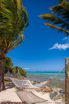 a hammock on the beach between two palm trees