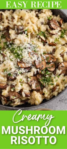 creamy mushroom risotto with parmesan cheese on top