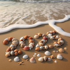 the word love spelled out with seashells and starfish on a sandy beach