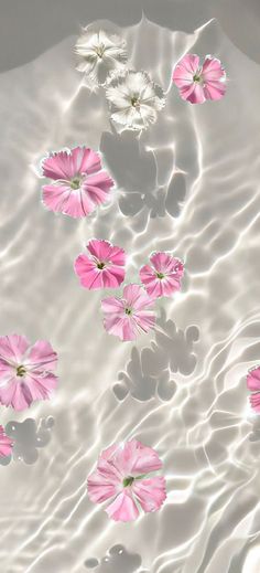 pink and white flowers floating on water in a pool with ripples from above them