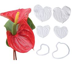 PRICES MAY VARY. 【Anthurium andraeanum Flower】 flower and leaf silicon mold : 10.8cm,8.2cm. 【Food Grade Quality】 Made of 100% food grade silicone, safe and non-toxic, durable and reliable for you to apply during baking 【Easy to Use & Clean��】Flexible and easy to clean, can be used in oven, dishwasher, refrigerator etc;(It is best to apply a little butter or oil before making. 【Professionally Custom】Package include Anthurium andraeanum flowers; Easy to use,can be used within the temperature between Craft Cake, Baking Easy, Birthday Cake Chocolate, Sugar Craft, Fondant Silicone Molds, Silicone Kitchen, Diy Silicone Molds, Candy Making, Cake Decorating Tools