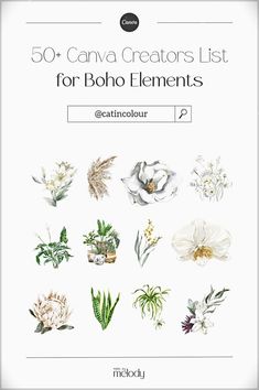 the 50 + canva creators list for boho elements is shown in white