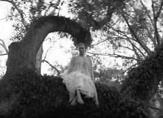 a woman sitting on top of a tree in the middle of a forest wearing a dress