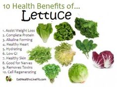 Benefits Of Lettuce, Lettuce Benefits, Eat Better, Different Vegetables, Health Info