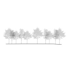 a line of trees on a white background