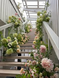 some flowers are growing on the stairs