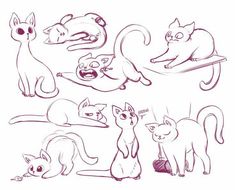 an image of cats in various poses on a white background