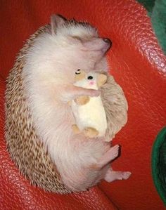 a hedgehog holding a stuffed animal on top of it's back in a red leather chair