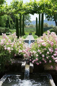 pink flowers are blooming in the middle of a garden with water running through it