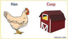 an image of a chicken and a hen in front of a red barn with the word coop on it