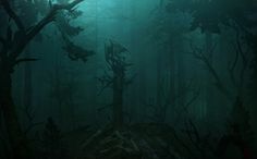 a dark forest filled with lots of trees covered in fog and smoggy skies