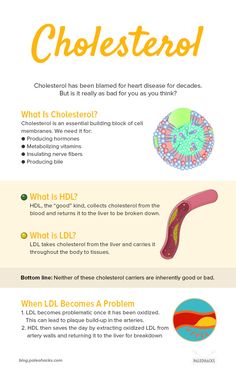 What Is Cholesterol, Bad Cholesterol, Nerve Fiber, Natural Antibiotics, Hormonal Acne, Cell Membrane, Good And Bad, When You Sleep, Blood Vessels