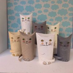 five cat paper cups sitting on top of a white counter next to a blue wall