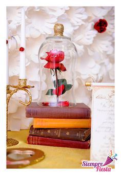 there is a glass vase with a rose in it on top of some books