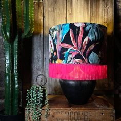 a black vase sitting on top of a wooden box next to a cactus plant and cacti