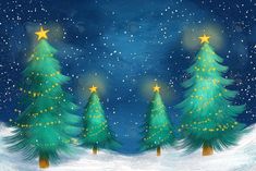 three christmas trees in the snow at night with stars on their tops and one green