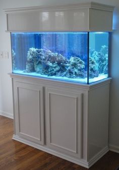 an aquarium in the corner of a room with wood flooring and white cabinetry