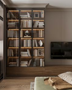 a living room with bookshelves and a television