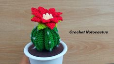 a crocheted cactus sitting in a white cup on top of a wooden table