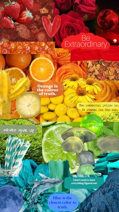 the collage shows different types of fruits and vegetables, including strawberries, oranges, lemons, raspberries