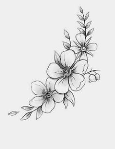 a drawing of flowers on a white background