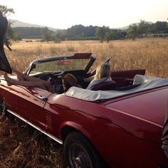 an elephant standing next to a woman in a red convertible car with her trunk open