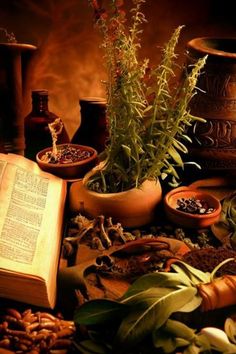 herbal remedies book and herbs River Enchanted, Enchanted Aesthetic, Ancient Scrolls, Ancient Medicine, Ancient Scroll, Vision Bored, Goddess Aesthetic, Healing Salves, Castle Aesthetic