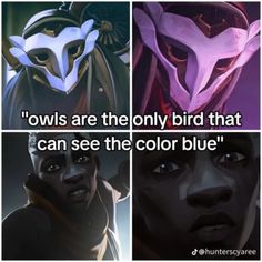 four different pictures with the words owls are the only bird that can see the color blue