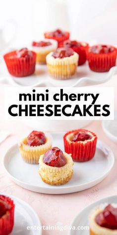 Mini Cherry Cheesecakes | Easy Recipes Cheesecakes Recipes, Traditional Cheesecake, Mini Cherry Cheesecakes, Cherry Cheesecake Recipe, Vanilla Wafer Crust, Vanilla Wafer, Quick And Easy Appetizers