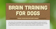 an image of a website page with dog training for dogs on the front and back