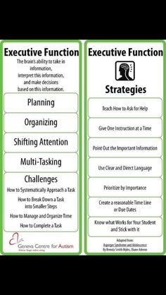 two green and white bookmarks with the words executive function, executive function and executive function