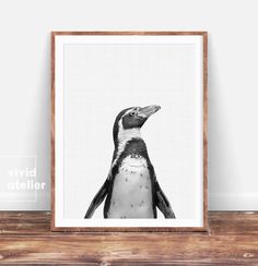 a penguin in black and white on a wooden shelf