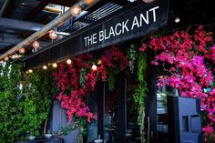 the black ant restaurant is decorated with pink flowers and greenery hanging from the ceiling