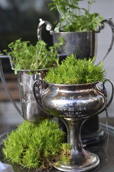 two silver cups filled with plants on top of a table